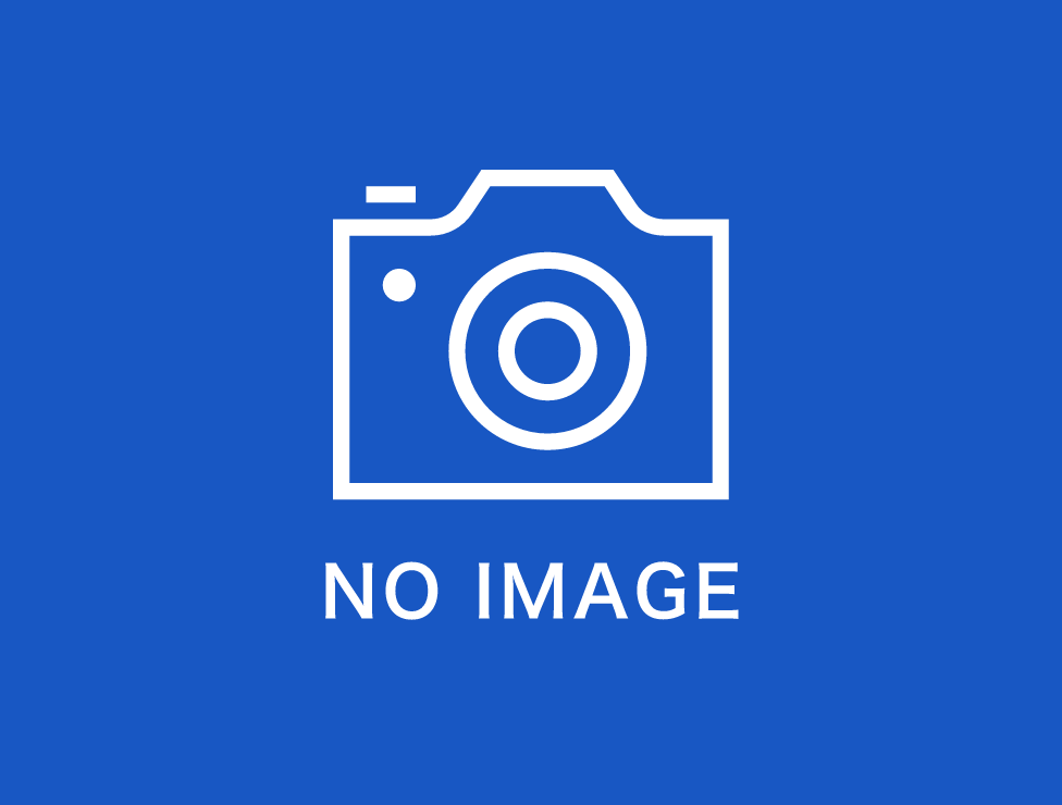 中型（4t）ダンプ特集