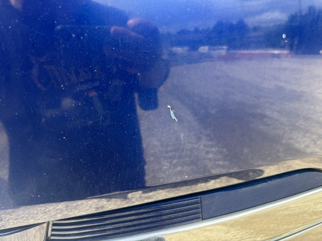 車両写真