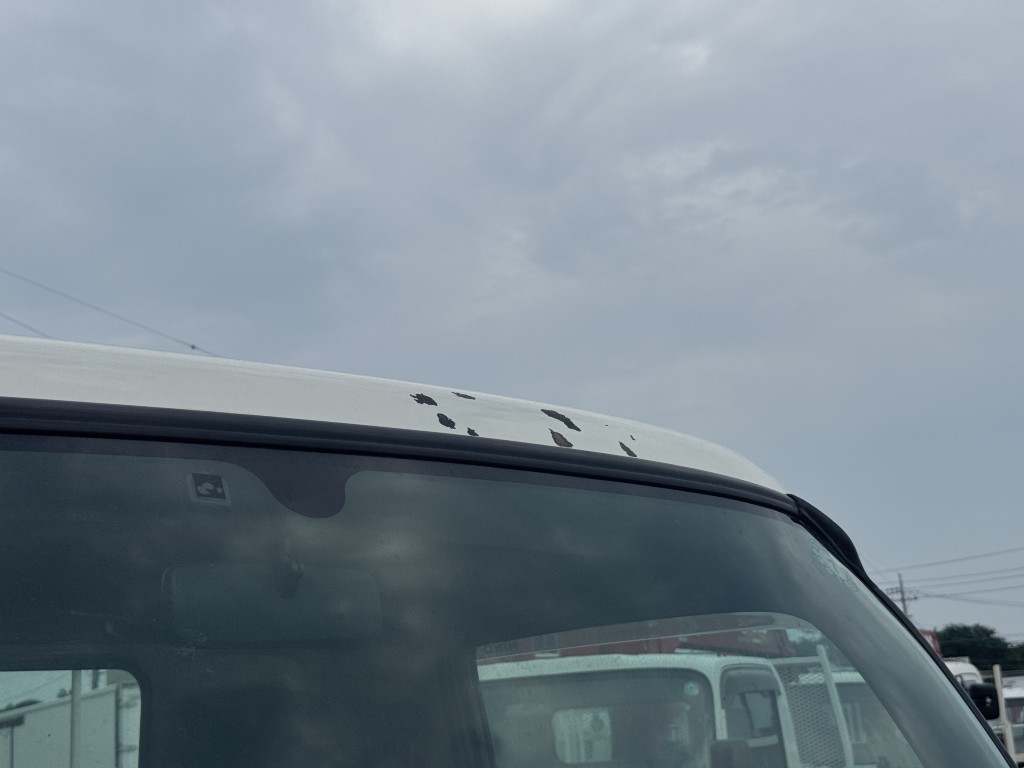 車両写真