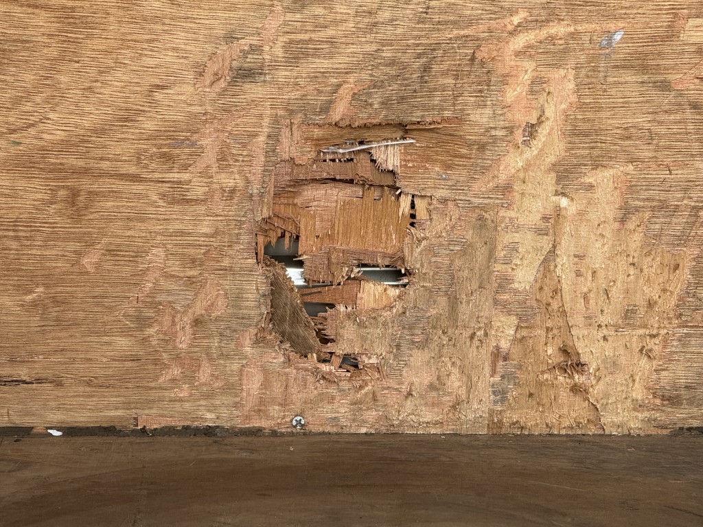 車輛写真