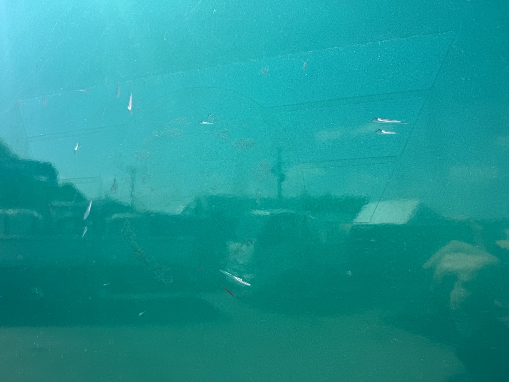 車輛写真