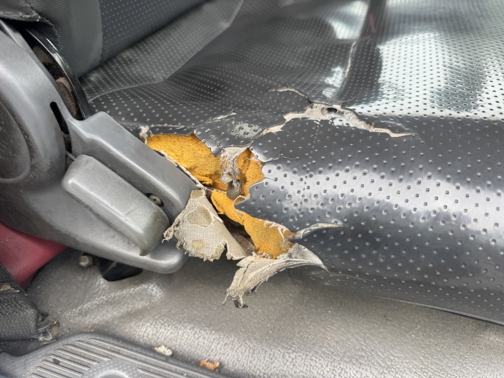 車輛写真