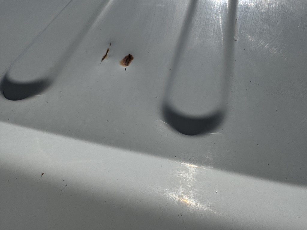 車輛写真