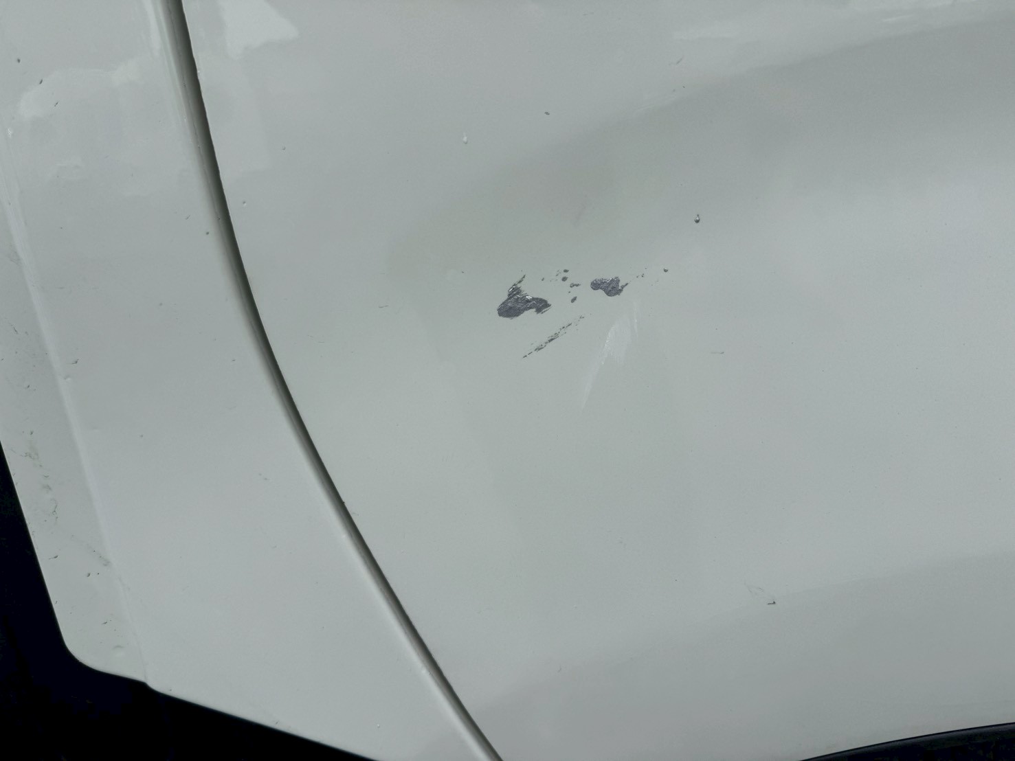 車輛写真
