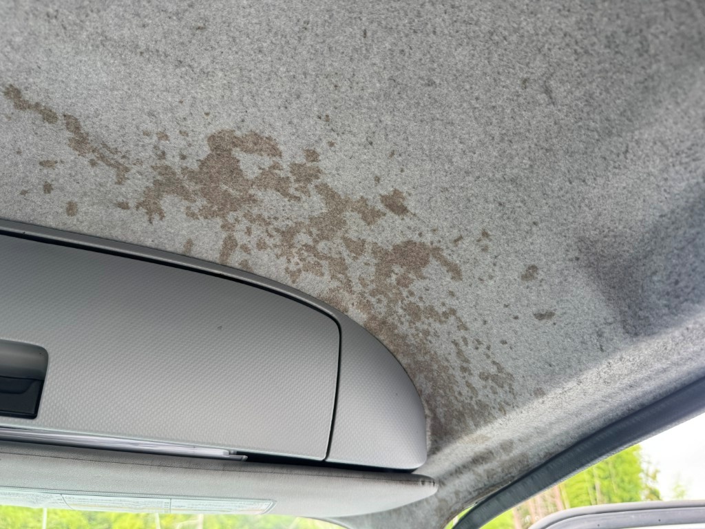 車輛写真