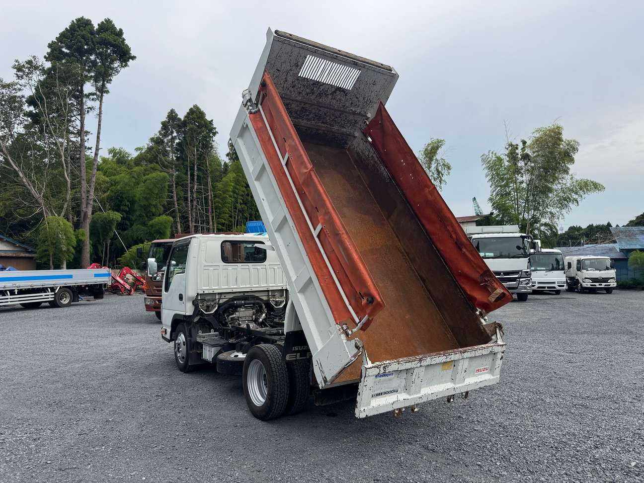 車輛写真