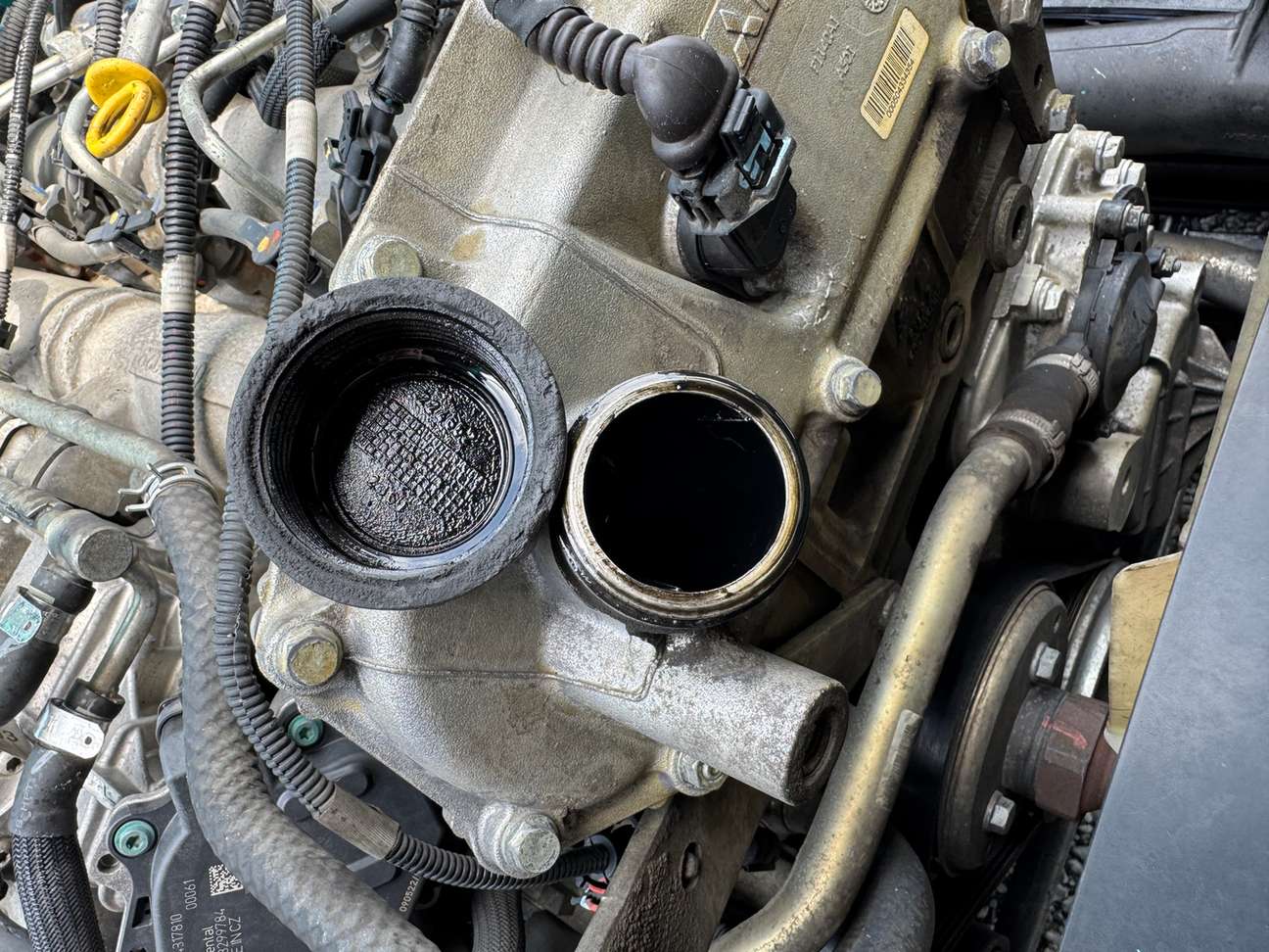 車輛写真