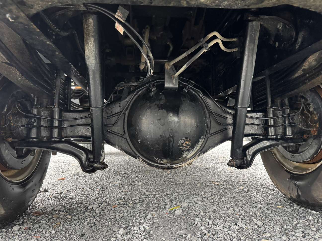車輛写真