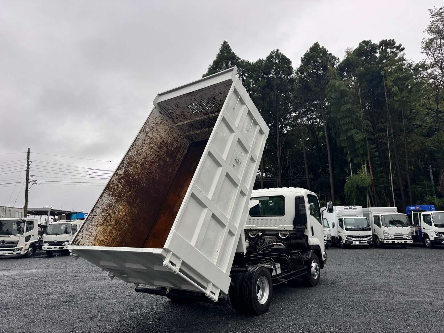 車輛写真